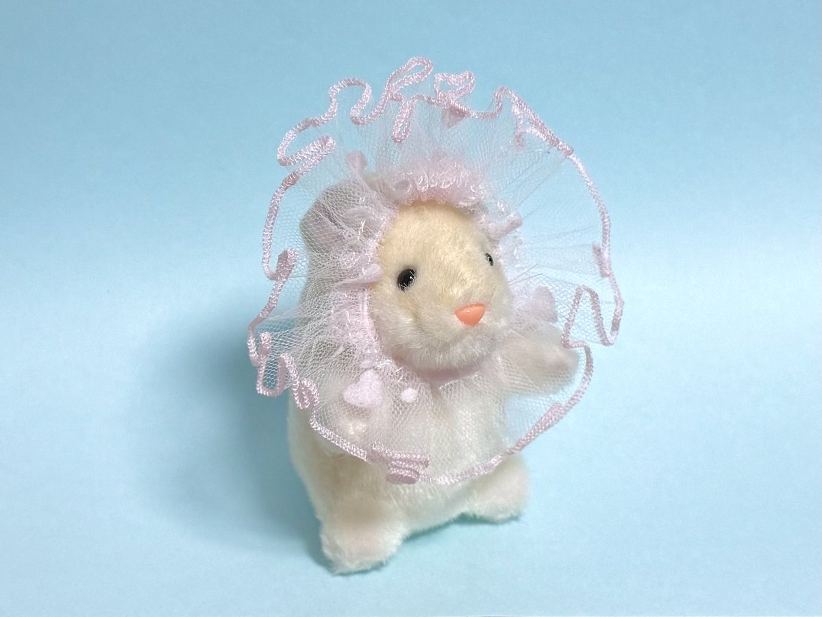 あまりにも、良すぎる
 #てんてこマート