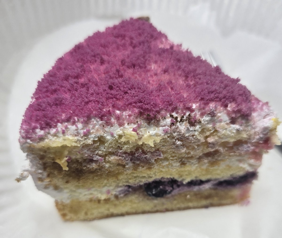 #진짜_아무거나_올리면_맘찍이_얼마나_찍힐까