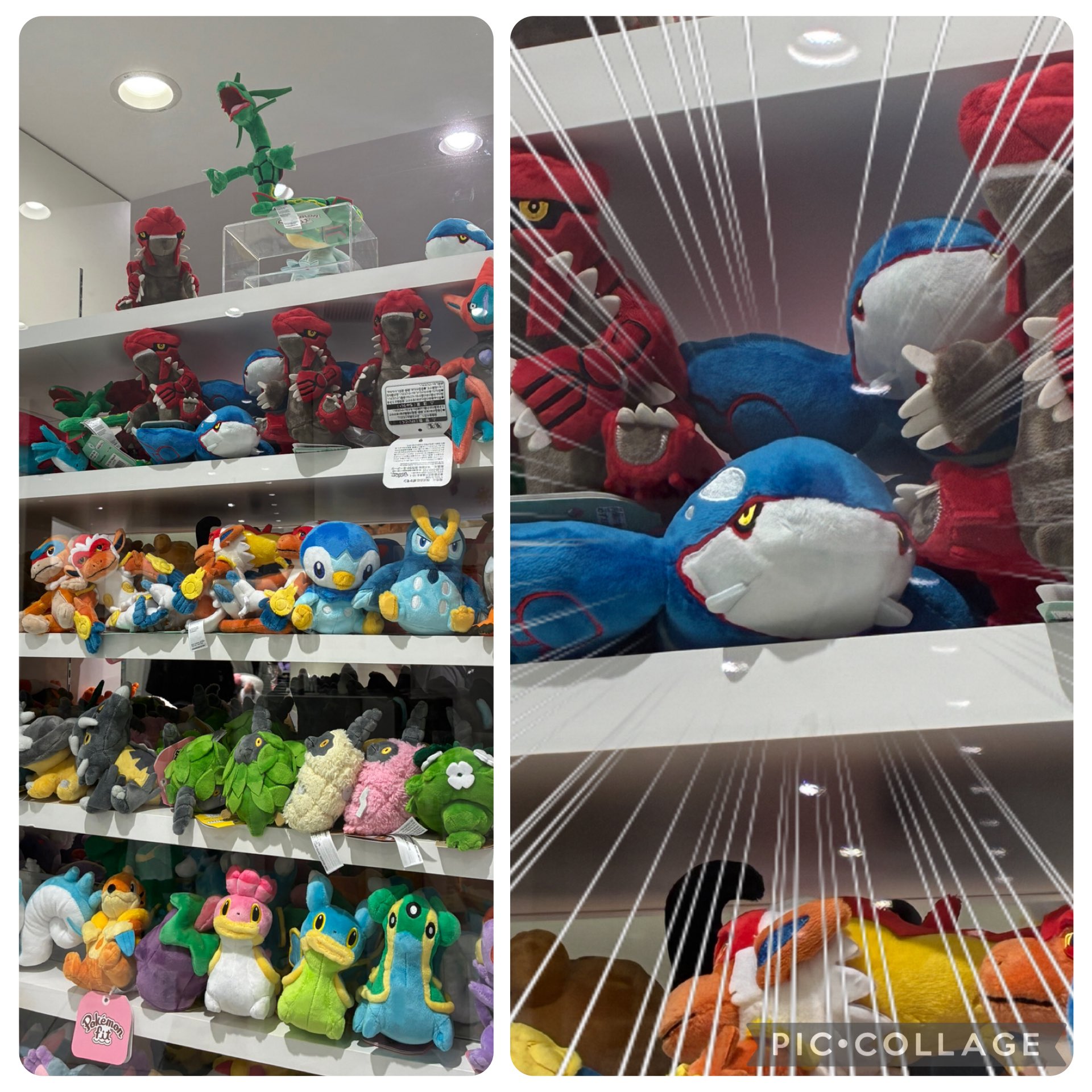 カイオーガ トレーナー 長袖　L ポケモン 1697700349.jpg?1665415789
