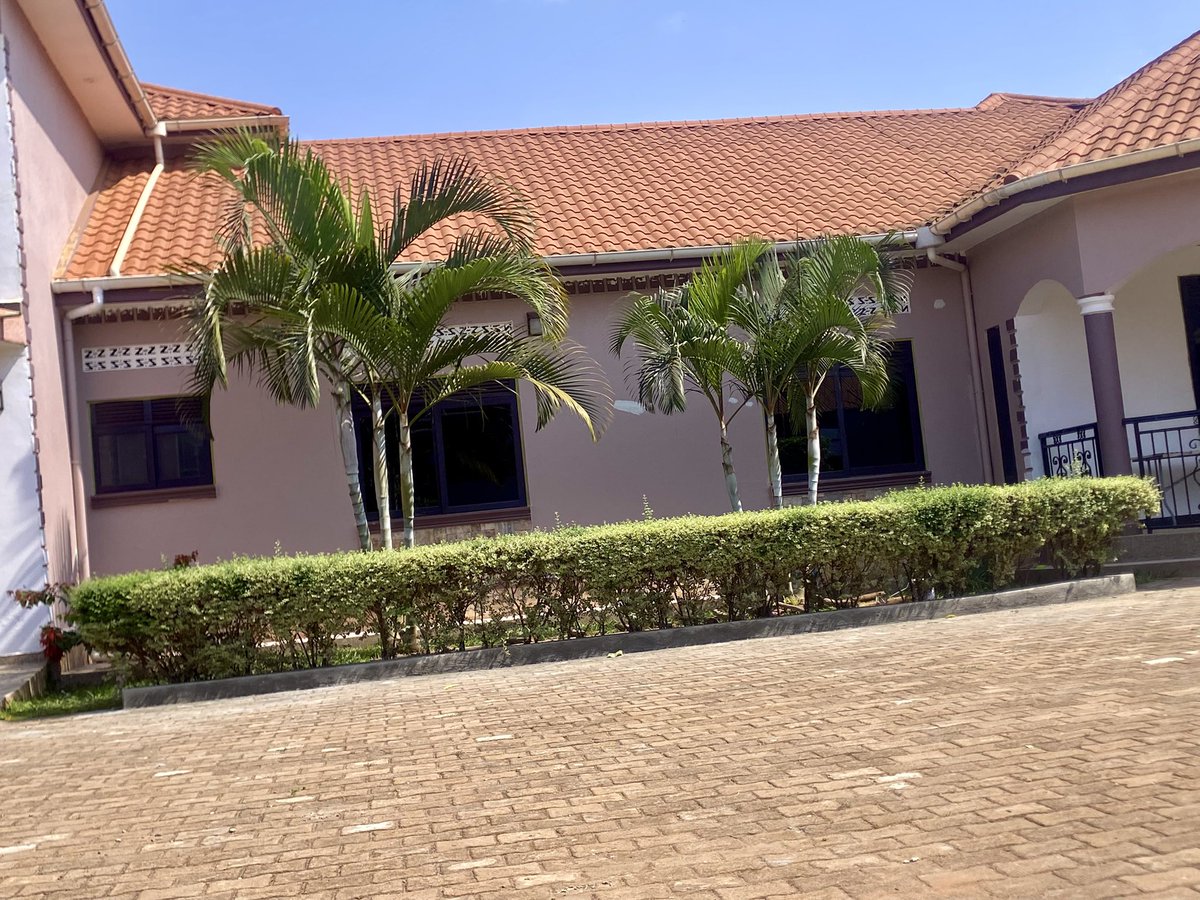 MY STORY: FROM FINANCE GRADUATE TO LANDSCAPING PROJECT WORTH 80M.

Today, I went back to a compound I designed years ago in Nansana—called again by my boss, the home owner, to restore it. Standing there, I remembered how this journey started. 🙏🏾

I had just finished university