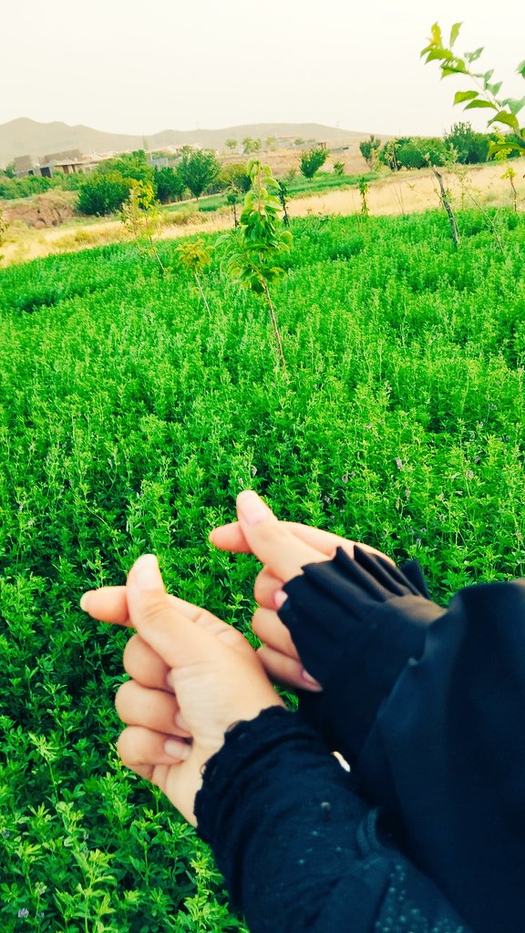 همہ چی‌ از‌ اونجایی‌ شروع‌ شد‌ کہ...
خداسڪوت‌کرد‌وبخشید:)
مامغرور‌شدیم‌وخیال‌خوب‌بودن‌کردیم! 🚶🏾‍♀

#شاید_تلنگر