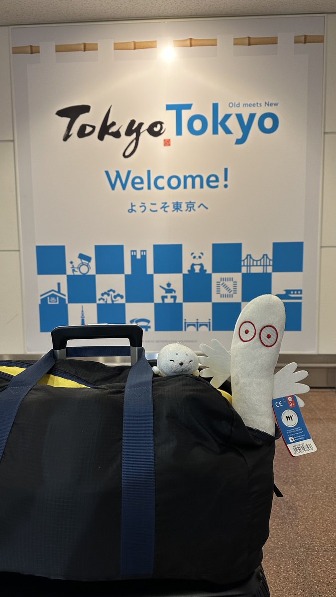 ヘルシンキから帰ってきたときの1枚やねん❣️
ニョロニョロくんも連れて帰ってきたで( `ω ´ )
2年前のせやねんやでヽ( `ω ´ 〃)
#せやねんと愉快な仲間たち