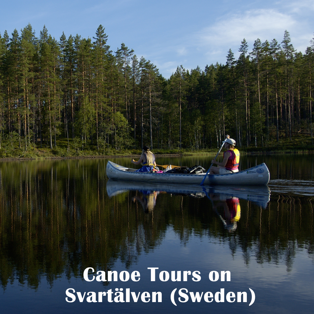 "Everything was really great. Brilliant service all round. For me, the best canoeing was through the smaller lakes and rivers. The whole process of canoeing, then making camp was just fantastic." Richard, Canoe Tours on Svartälven, August 2025 🚣‍♀️🏕️🔥

naturetravels.co.uk/water-canoe-to…
