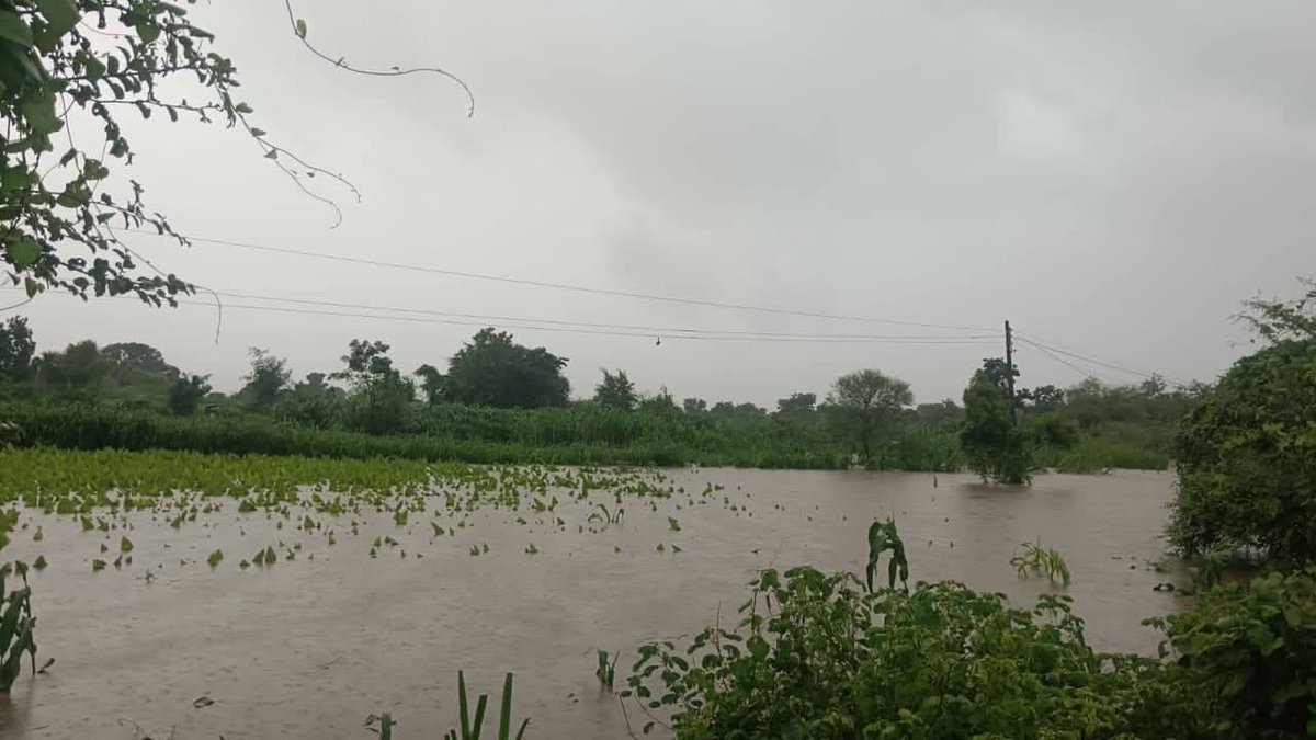 नायगाव तालुक्यात व नांदेड जिल्ह्य़ात ढगफुटी सद्रुश परिस्थिती शेतीचे मोठे नुकसान!
   #Maharashtra