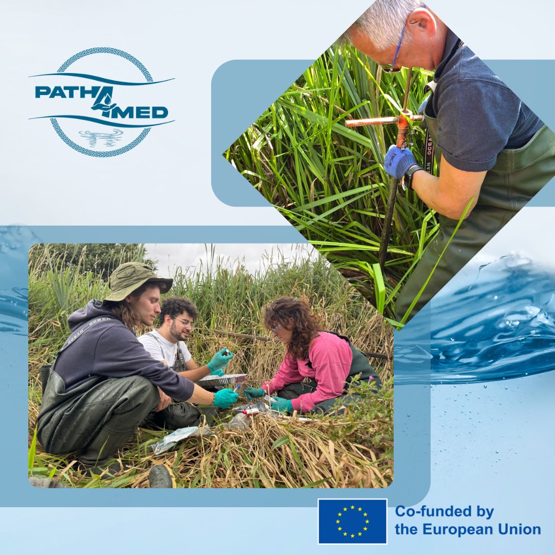 Path4Med tweet media