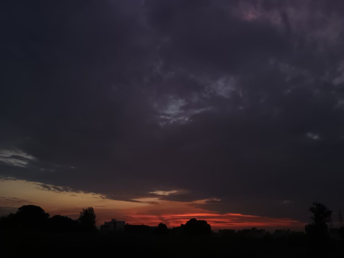 This and Marlboro Gold with bro🚬