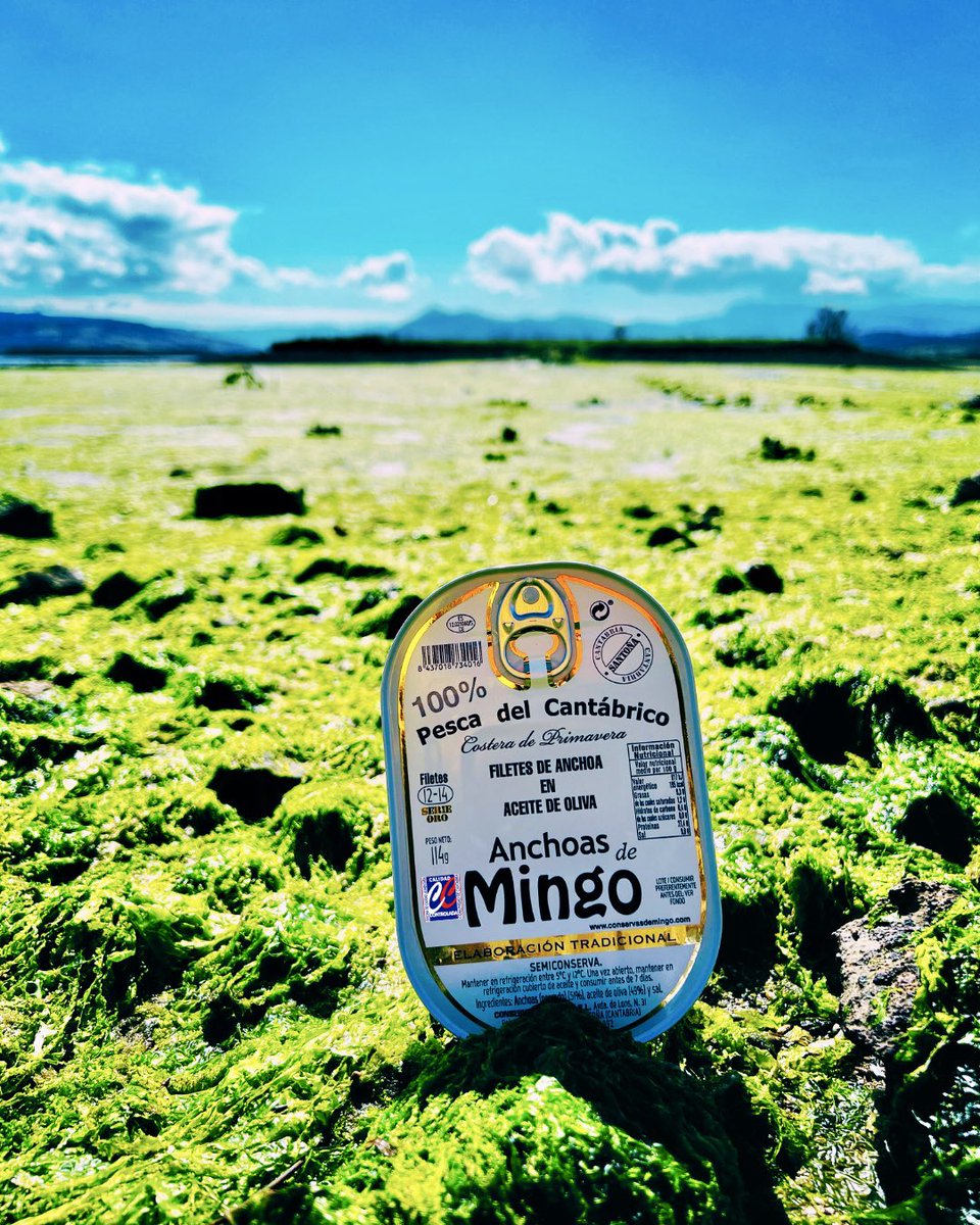 ConservasDMingo's tweet image. Con la marea bajada y bajo el ☀️ , nuestra Hansa se alza en plena Marisma de Santoña. 📍
Testigo de un origen que nos identifica.
Un lugar único, donde tradición y naturaleza se encuentran para dar vida a un producto auténtico 🐟💢💫
#Anchoas #Santoña