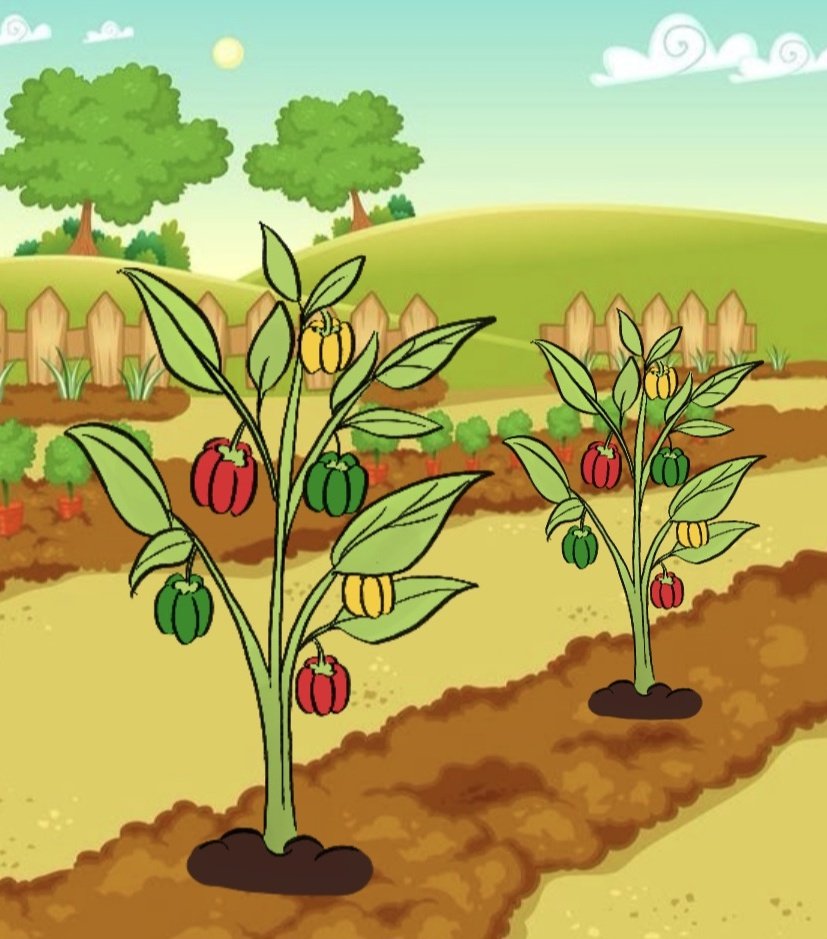 เกือบหลับแต่กลับมาได้ (/o＼) ดีนะปลูกไว้เยอะ ครั้งหน้าขอปลูกดอกไม้มั้งจิ