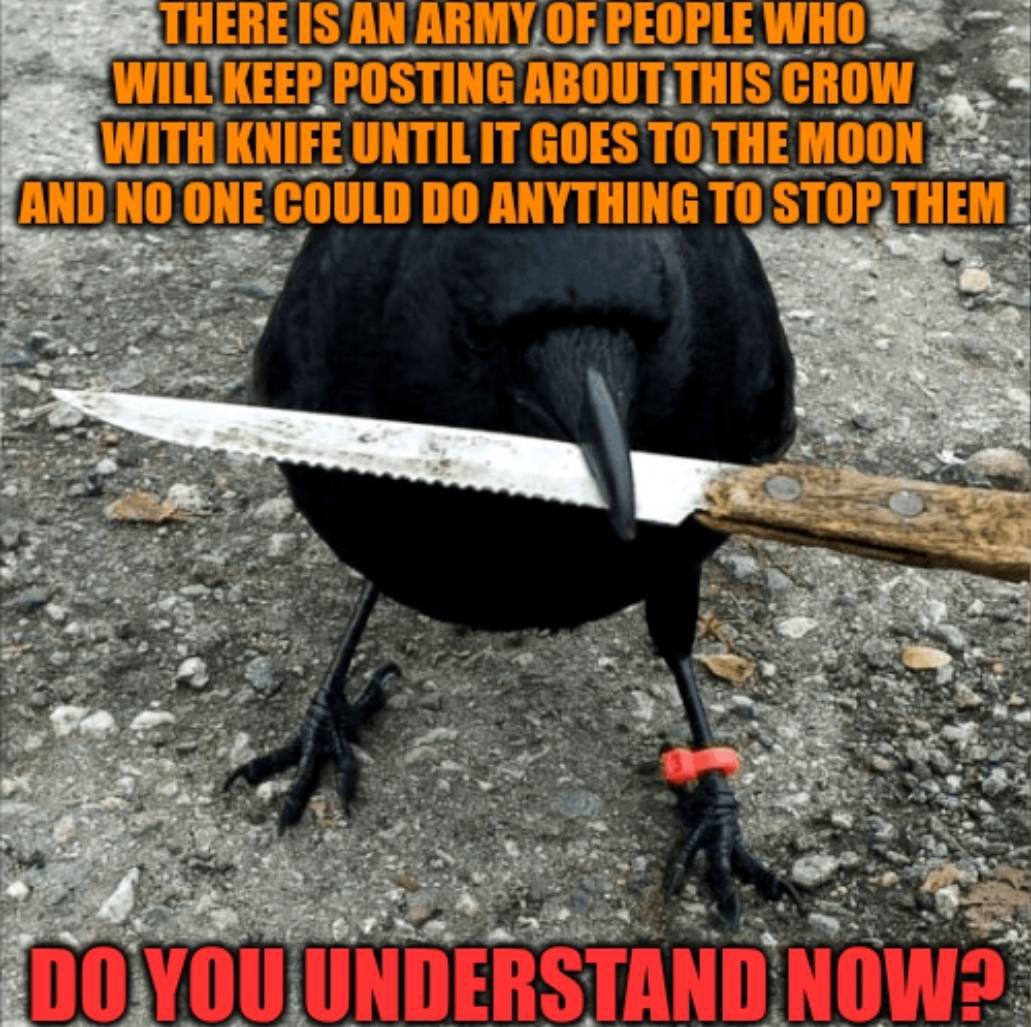 Georgiev2177's tweet photo. @f_valenzuela33 crow with knife https://t.co/SK19rVbEOm
