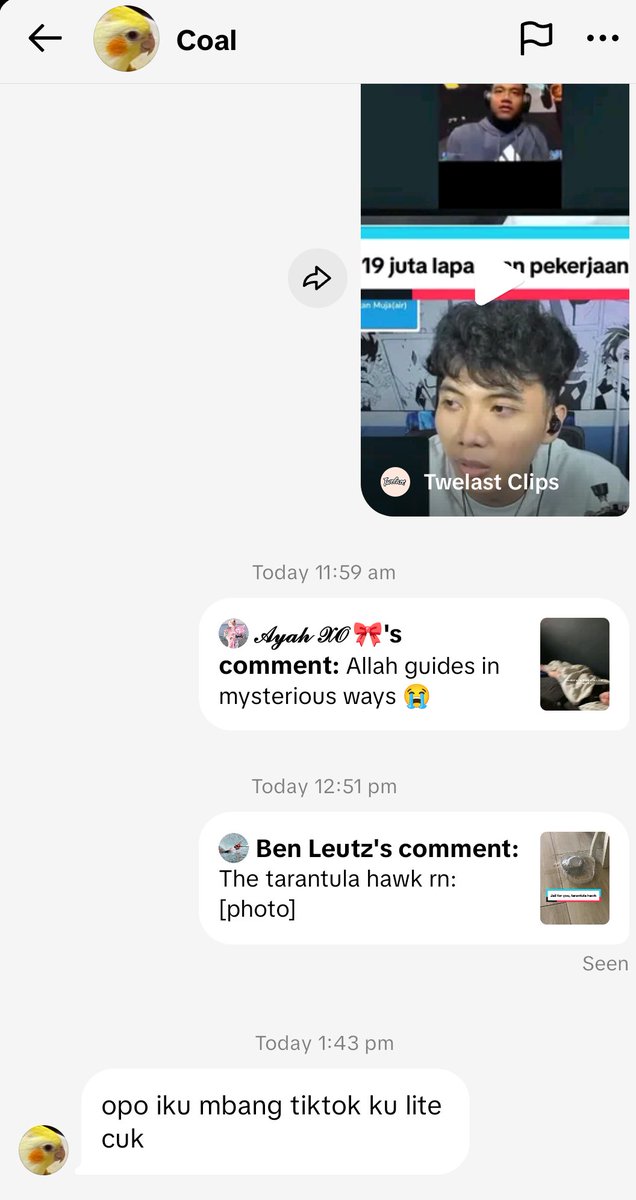 visual_corvus's tweet image. bomboclatt🥀