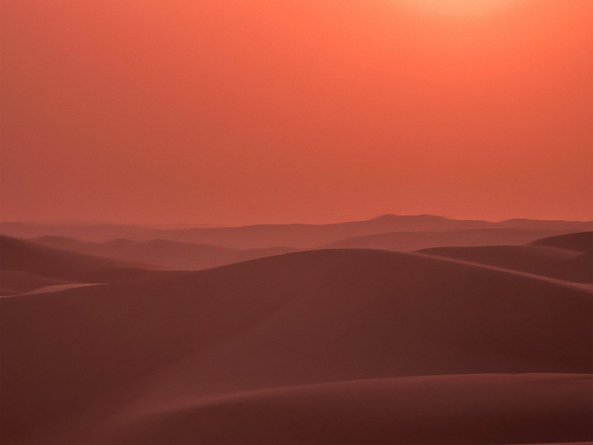 Après les deux premiers opus, l'équipe de Denis Villeneuve retournera plus tard cette année au désert de Liwa à Abu Dhabi pour tourner ‘DUNE: PARTIE 3’ 🎬

(via mediaoffice.abudhabi/en/arts-cultur…)