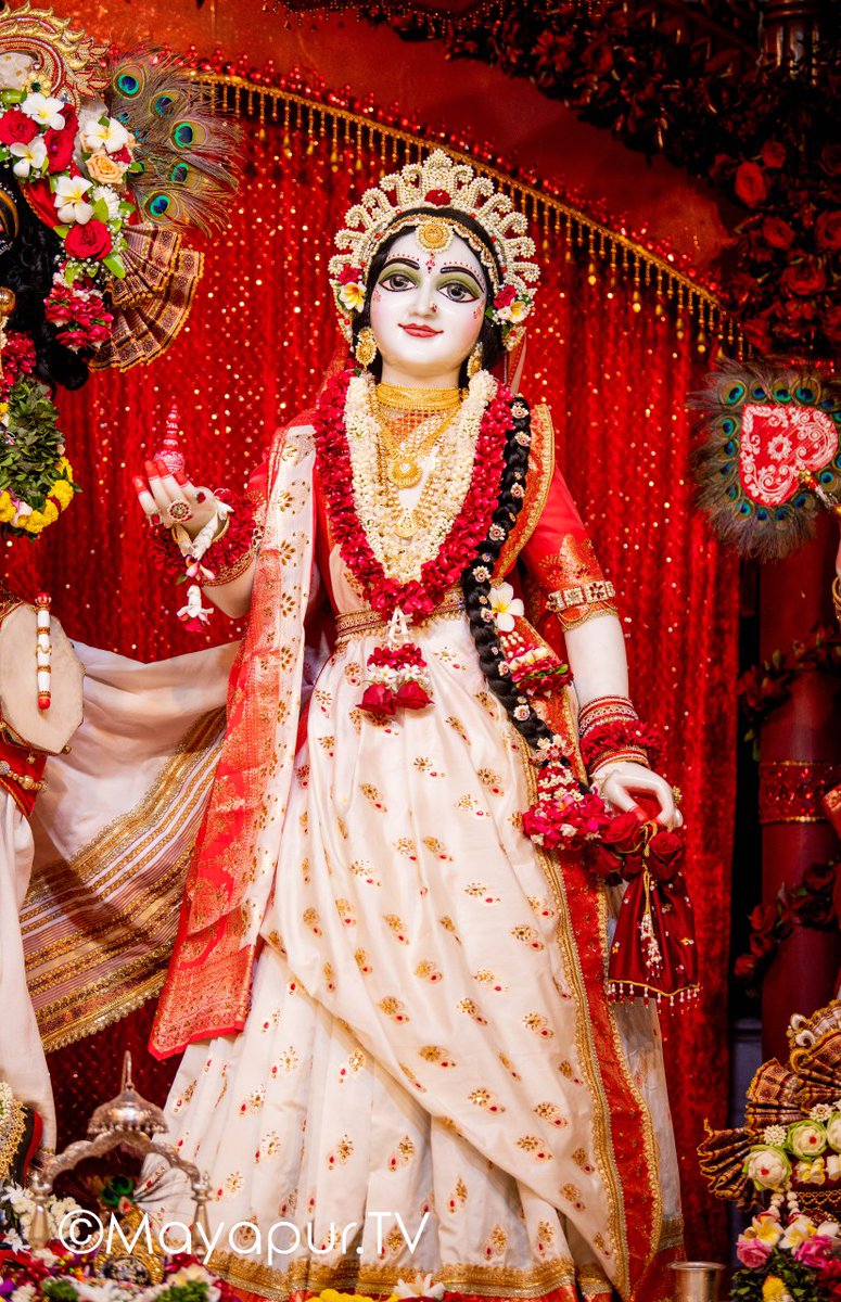 urugayah_'s tweet photo. Vṛṣabhānu-nandinī in bengali attire 🌹 https://t.co/dawgtHnFjF