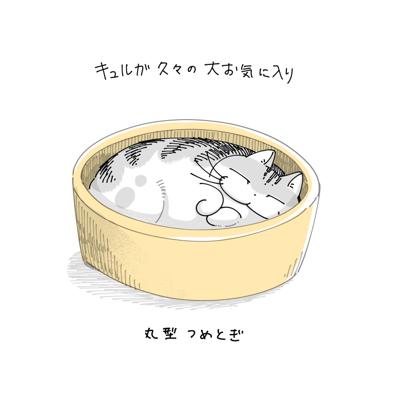 明日(金曜日)の漫画はお休みします🐈💤