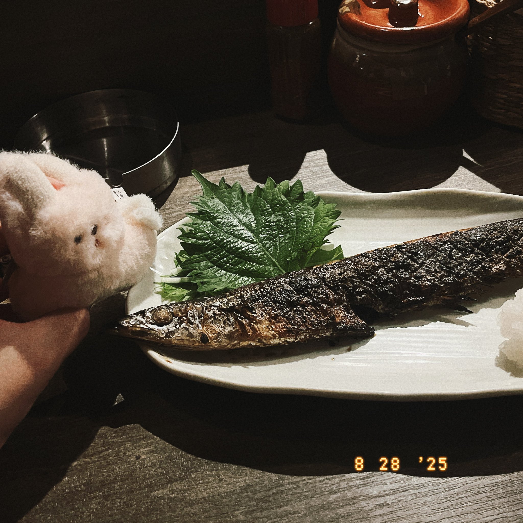 魚です❣️0711 せーた！！！ on X: 