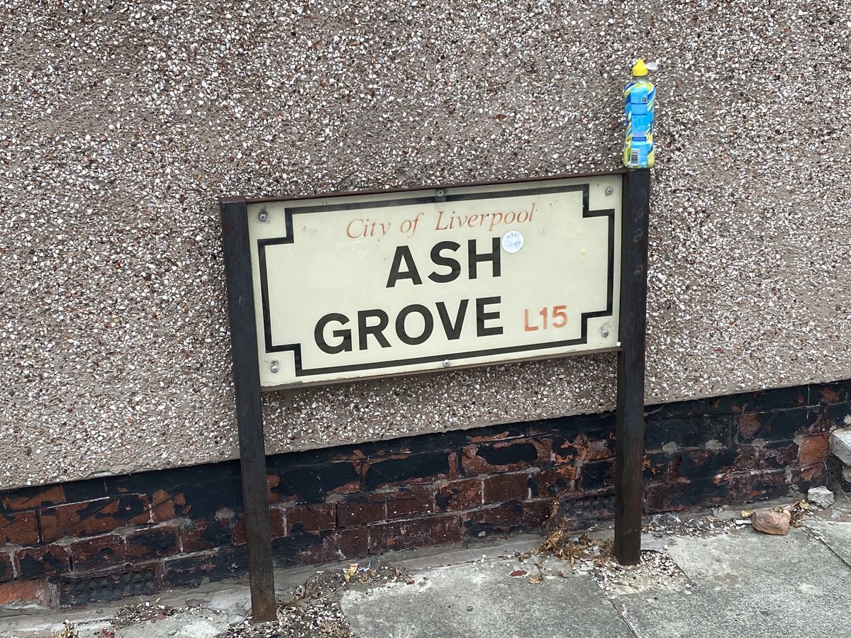 Adrian Seviour (@adriansevi16489) on Twitter photo <a href="/startedabin/">Started a bin</a>
Down yonder green valley
Where streamlets meander
When twilight is fading
I pensively rove
Or at the bright noon tide
In solitude wander
Amid the dark shades
Of the lonely Ash Grove <a href="/startedabin/">Started a bin</a>
Down yonder green valley
Where streamlets meander
When twilight is fading
I pensively rove
Or at the bright noon tide
In solitude wander
Amid the dark shades
Of the lonely Ash Grove