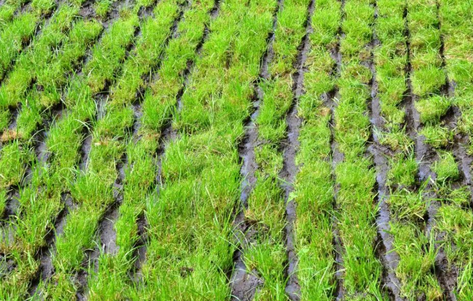 8e actieprogramma Nitraatrichtlijn schiet tekort voor bescherming drinkwaterbronnen. Aanvullende maatregelen zijn noodzakelijk.  bit.ly/3VnWscW