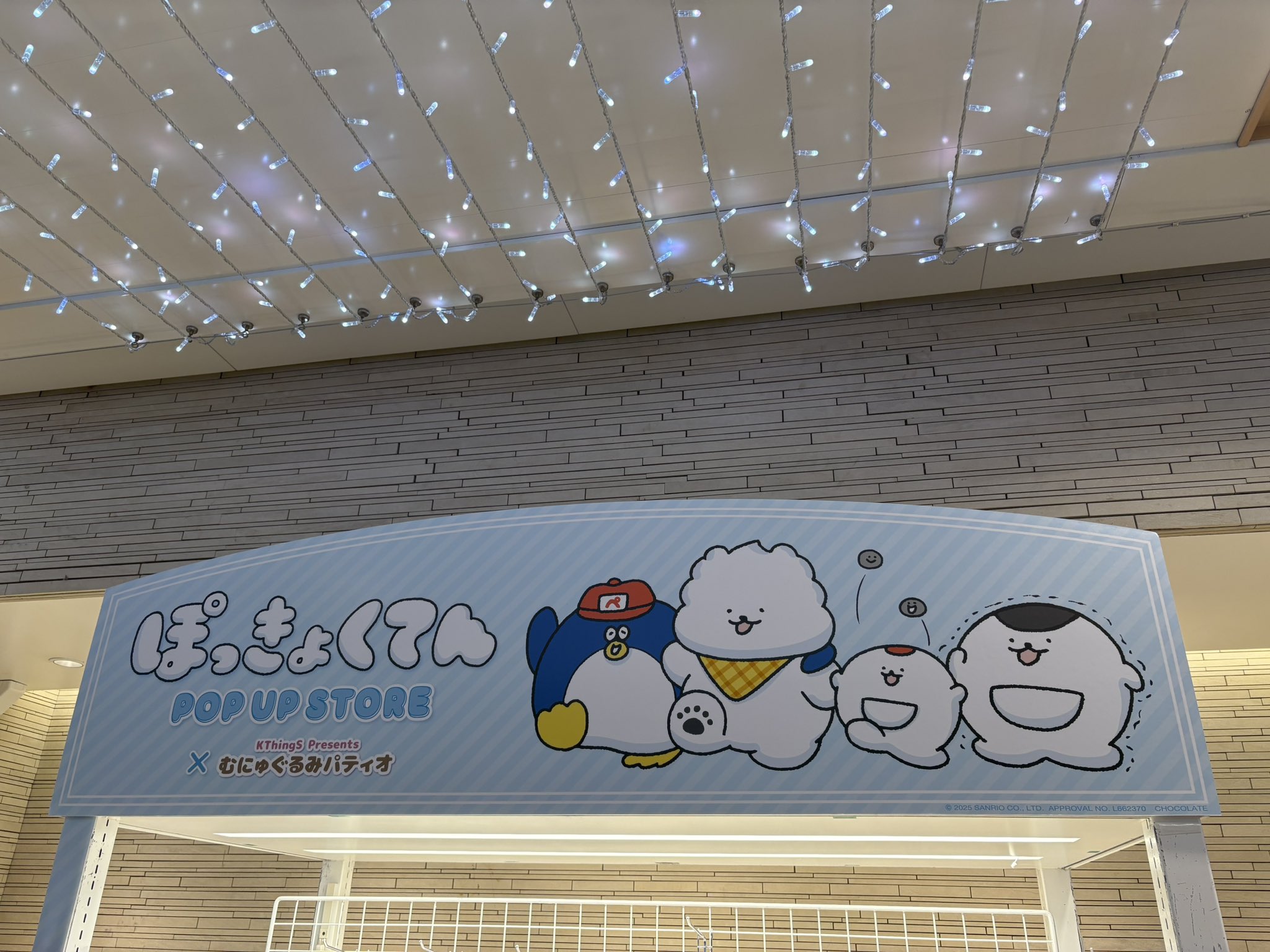 さくらんぼ 出品 ウィッグオーダー エース・トラッポラ(ニック使用予定) ツイステッド ワンダーランド ツイステ Ace エース・トラッポラ