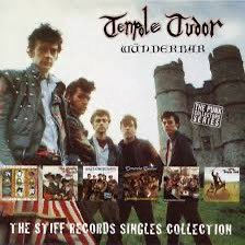 Anything by Temporal Tudor

 #ASongOrMovieForTheBrain