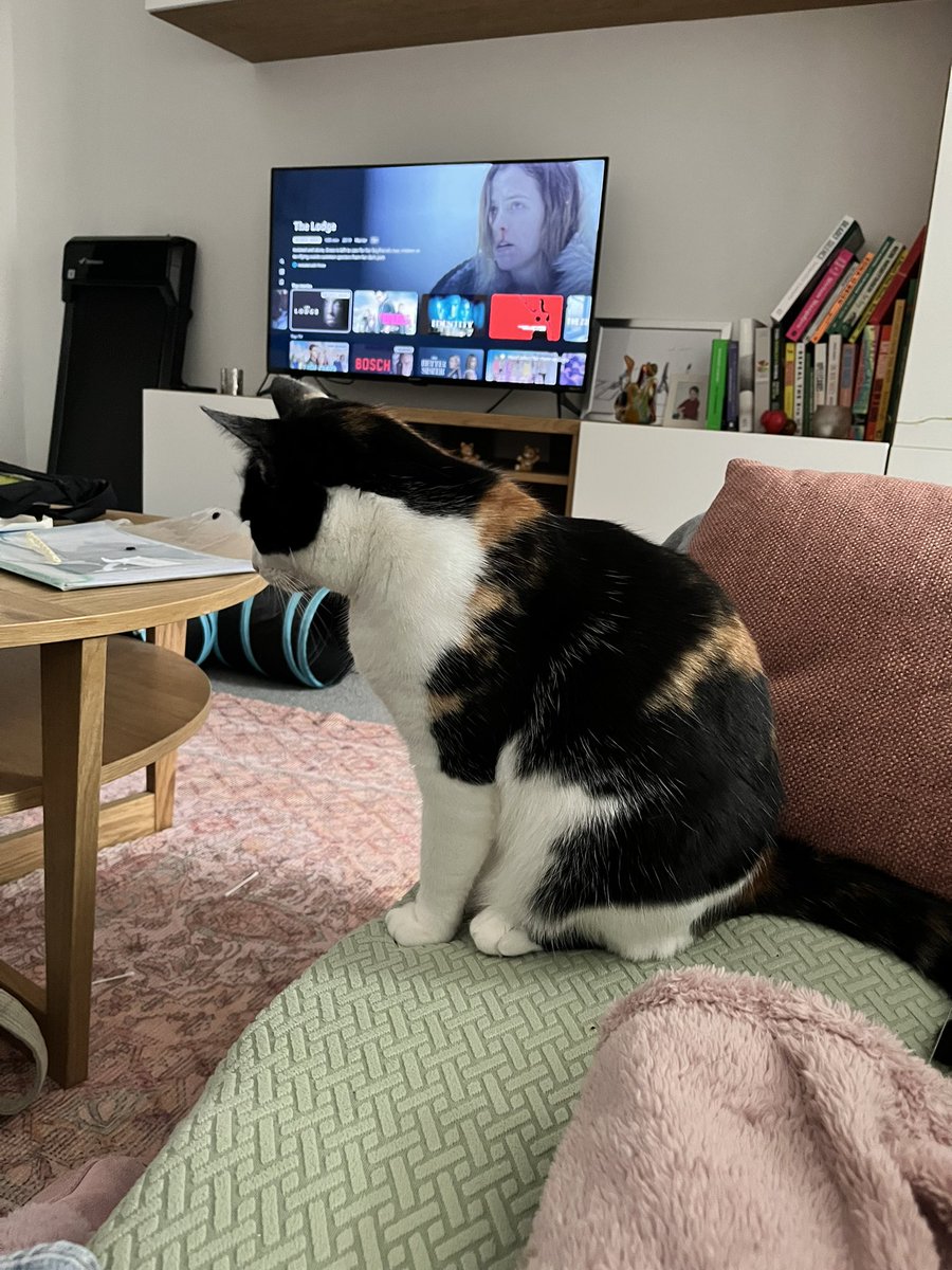 Post vaccination contemplation of life!