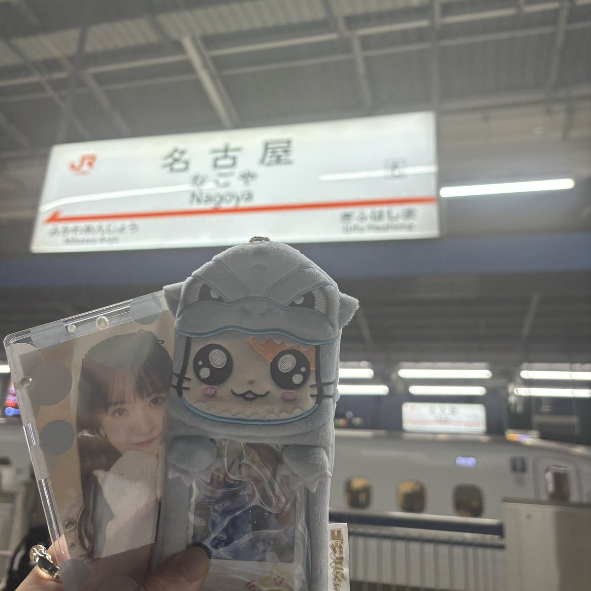 シャチさんも名古屋もすき！

また9月に来れるように、色々頑張る👊🏻

#TEAMSHACHI