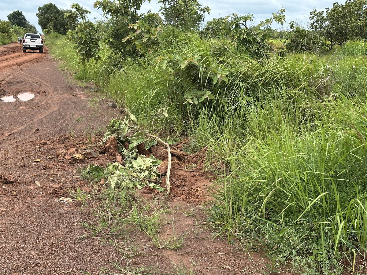 LeongWaiKitCNA's tweet photo. 1/3

Spoke to Cambodian Mine Action Centre DG Heng Ratana 

CMAC is tapping its 12,000-strong network of trained volunteers in Cambodia to help keep communities safe by responding and reacting appropriately from unexploded bombs https://t.co/LVKFohJYI9