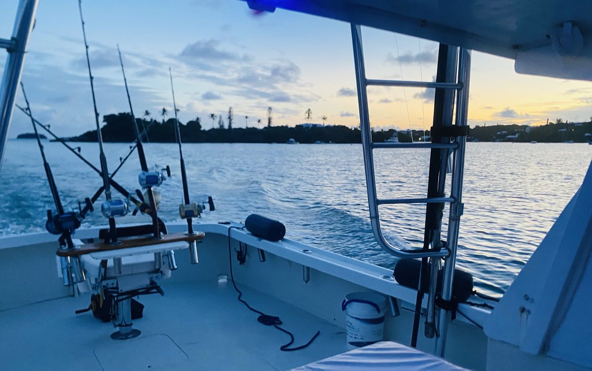 seawolfefishing's tweet image. Back to it!
#seawolfesportfishing #charterlife