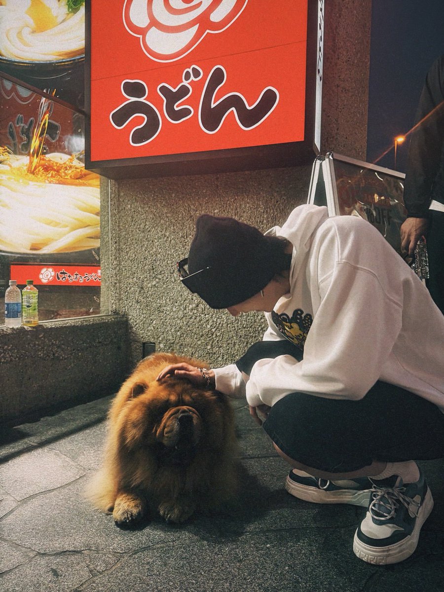 chriutopher's tweet image. someone please confirm… did i just pet a dog or a mini bear? 🐶?🐻?

#ChrisGallery