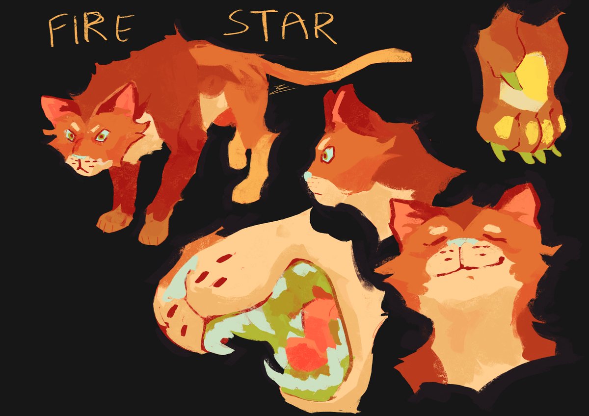 Exactlement 🌟 tweet media