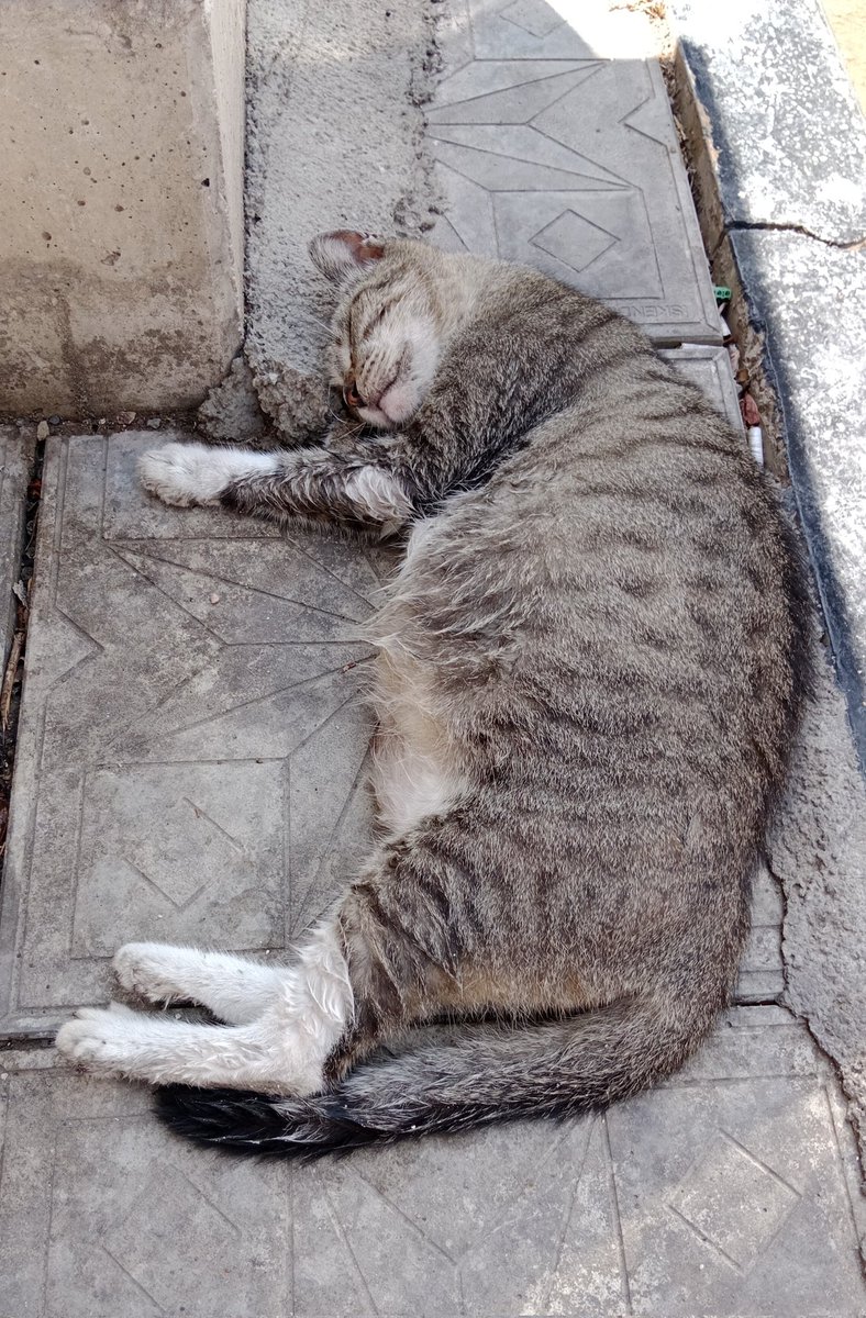 Kaç maaş alır, nasıl bir servet alır;  şöyle bir huzur hAKkını 👇😴