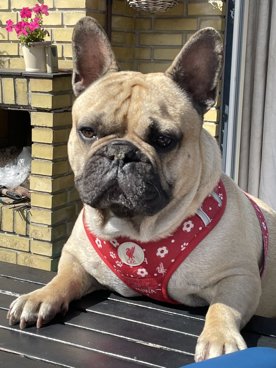 Jens Thomassen tweet media