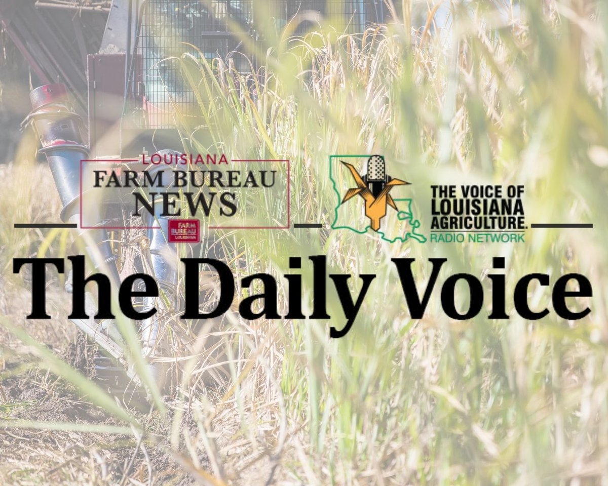 Start your day informed. Catch the latest Louisiana ag news in The Daily Voice: mailchi.mp/lfbf/the-daily…