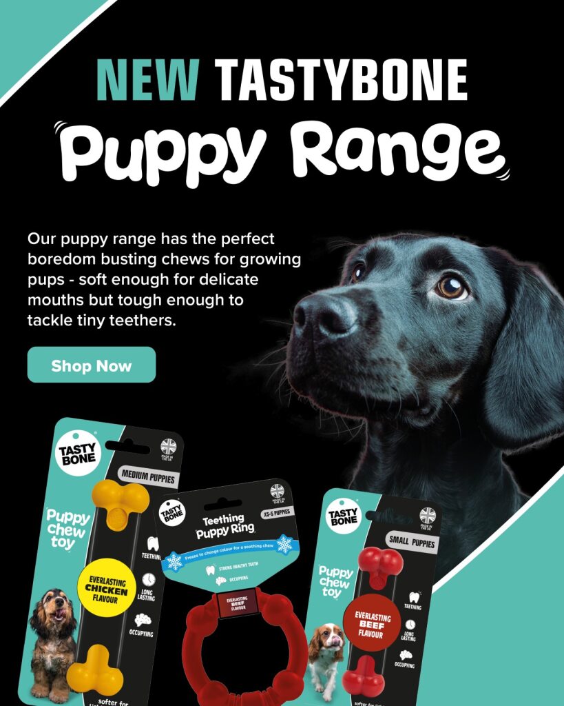 TastyBone_UK's tweet photo. Got a pup who’s chewing everything in sight? Meet TastyBone Puppy – the ultimate chew toy that’ll make your furniture a thing of the past! 🦴

Designed with delicate teeth in mind, this tasty chew is a must-have puppy chew toy. https://t.co/KY7I5oO1st