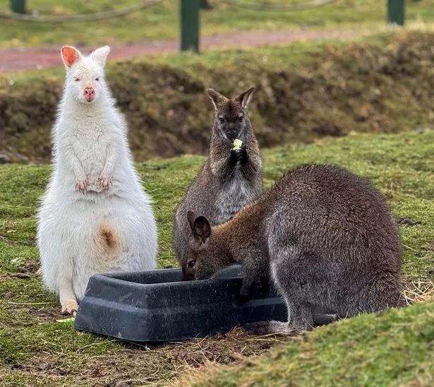 Home-Start Perth and Kinross tweet media