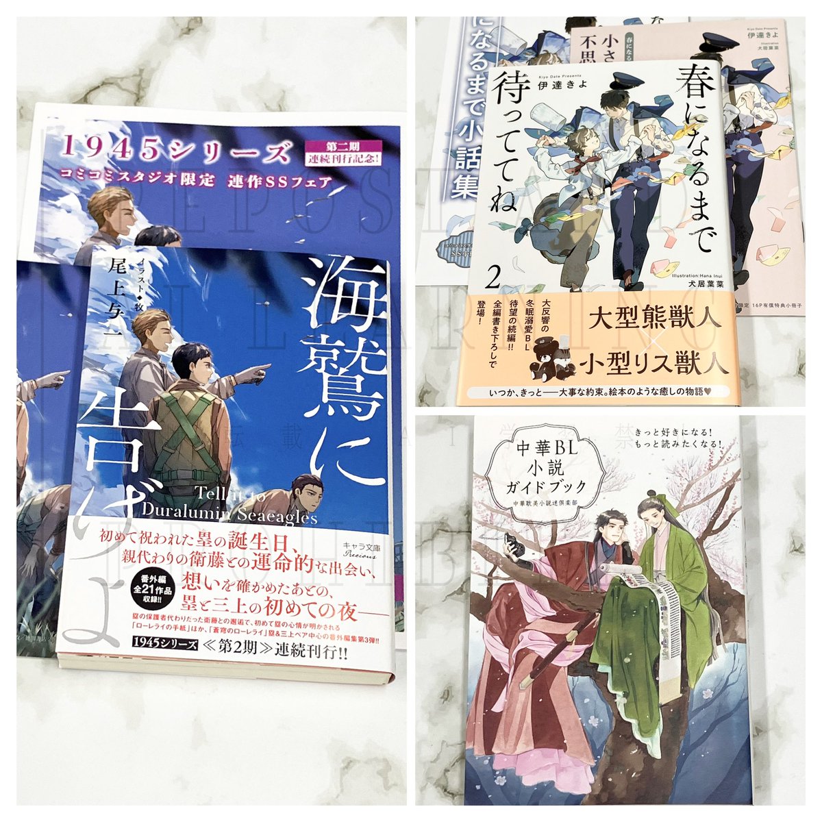 尾上与一 BL小説 まとめ売り 1945 bl ボーイズラブ 小説 ノベルス 尾上与一 BL小説 まとめ売り 1945 bl ボーイズラブ 小説