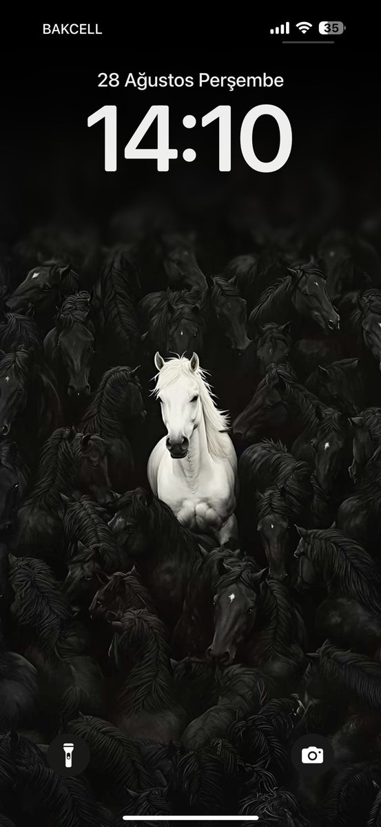 ⭐️ (@civciv0__0) on Twitter photo 