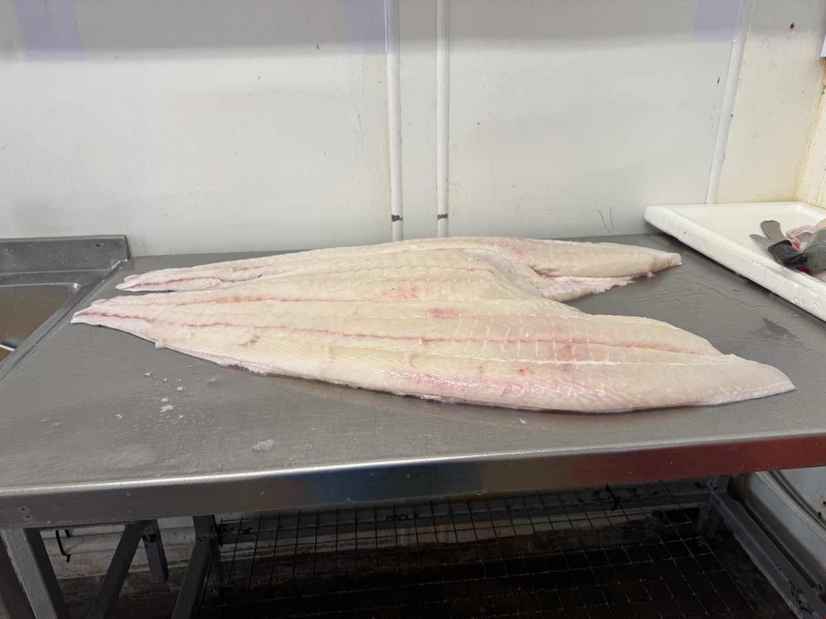 Halibut fillets for the weekend