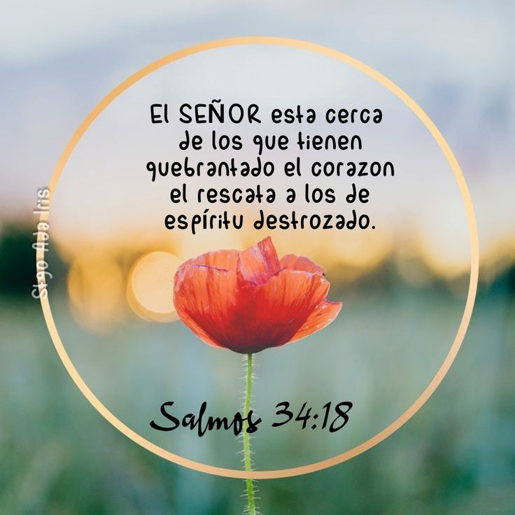 masgamartinez's tweet photo. https://t.co/320PvIZzpV