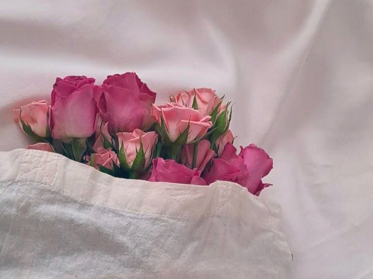 .
.

لا شأن لنا بالمواسم والفصول ..
يحلّ الربيع في القلب حين يحظى بما يحب ..🌻☁️
.
#كلام_من_القلب 
.