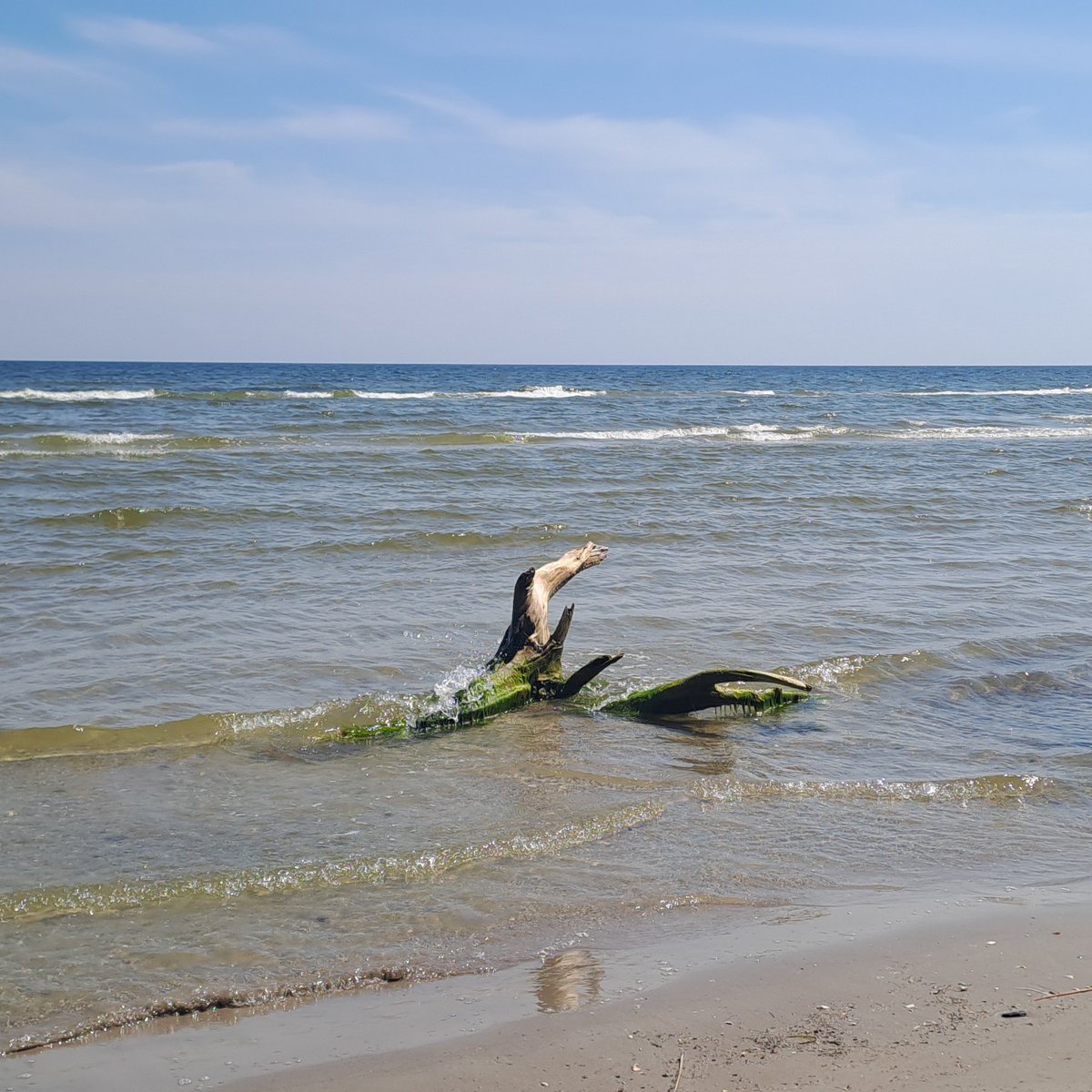Sveicam 3️⃣0️⃣ jubilejā <a href="/lheilv/">Latvijas Hidroekoloģijas institūts</a> 
🪷 Lai arī turpmāk drošs ceļš, sasniedzot jaunus zināšanu apvāršņus plašajās zinātnes jūrās, upēs un ezeros! 🪷