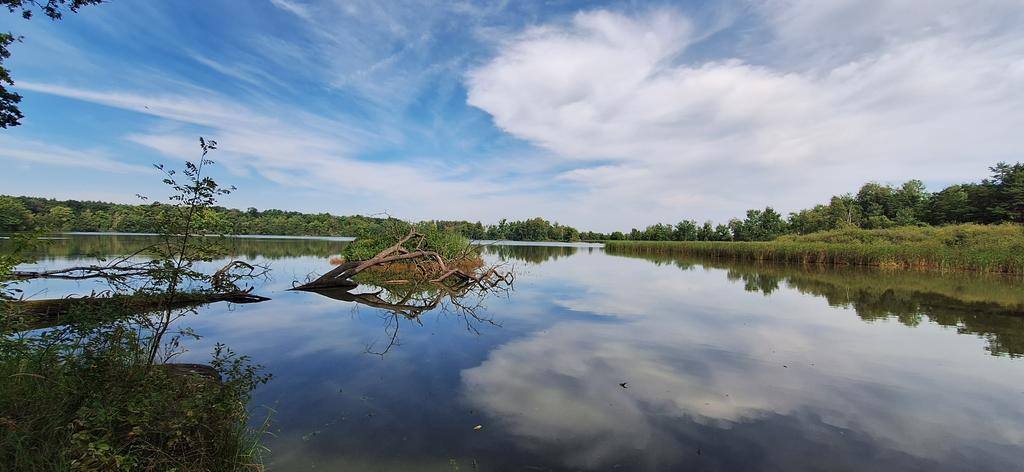 Putování mezi kulatyma potokama...