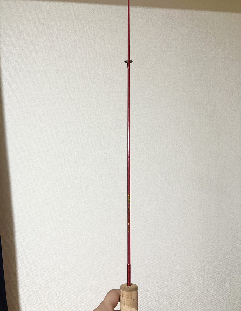 0515Misamisa's tweet image. 新ロッド導入🎣
しなりよさげ👍

#釣撃戦隊
#鱒レンジャー
#TuringMonkey
#ツリモン