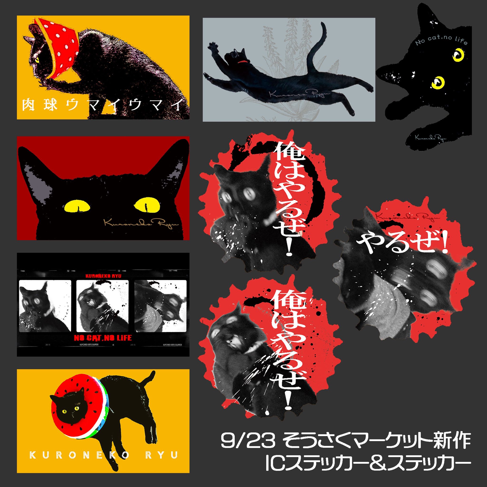 かずよん🐈‍⬛黒猫りゅう🔜9/23・そうさくマーケット3階わ09ab
