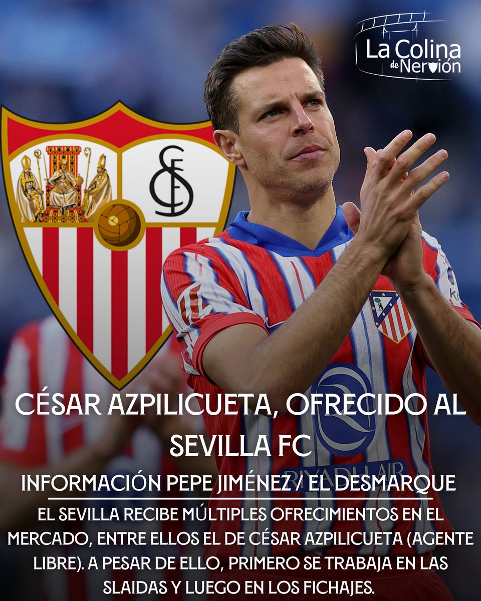 dorsal16 tweet media
