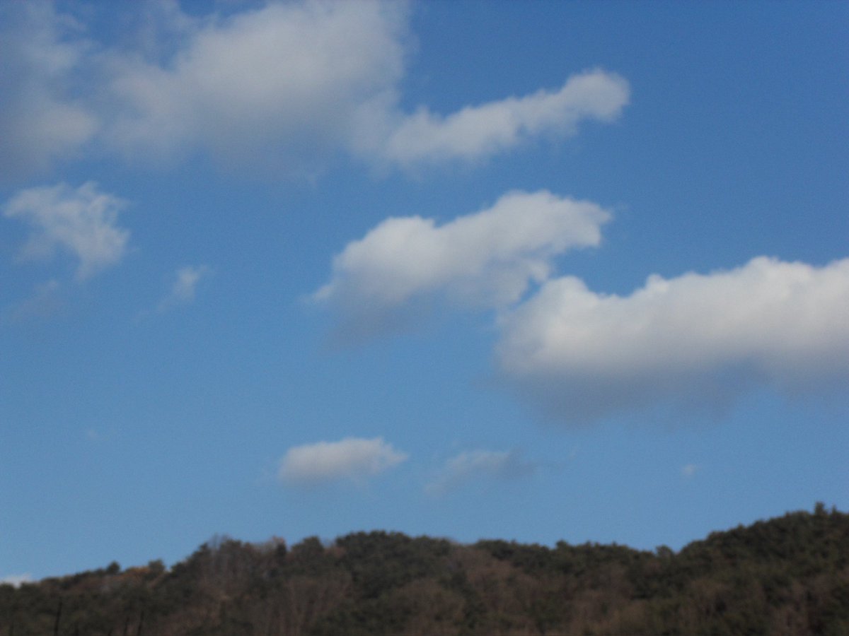 gazingstill (@gazingstill) on Twitter photo 