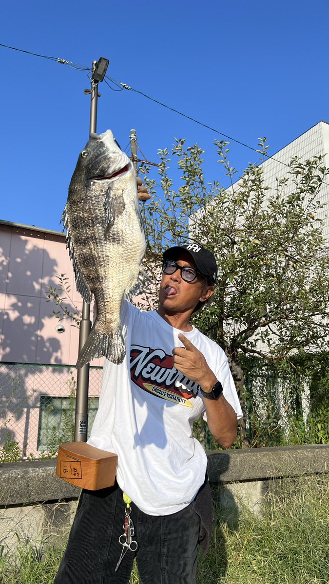 t_h_j_VIP's tweet image. ZEROZERO入魂🔥
ずぅーっと忙しく入魂出来ずに居ましたがやっと年無し入魂出来ました🥳
2時間釣行51.5cm頭に5-5-5！
板倉師匠の喝に最近のバレに対するビビリを払拭しパーフェクト達成出来ました👍🏾

#team釣男reinbow
#黒鯛工房
#ZEROZERO
#ヘチ釣り
#東京湾奥釣倶楽部