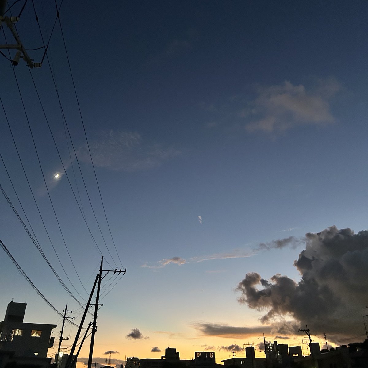 外に出たら夕日がきれいでした🌆
