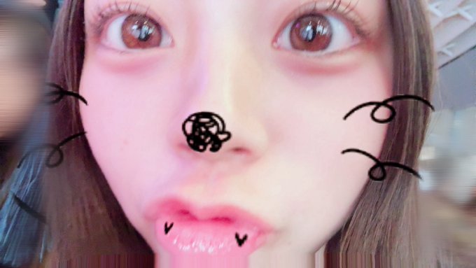 あいにゃんのTwitter画像6