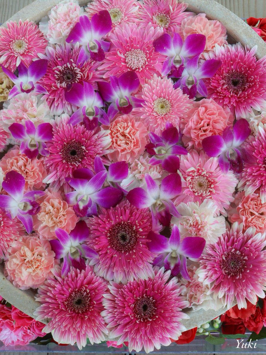 花＊花ページ 生花】ガーベラ プチチャント【オレンジ/60cm/静岡県】｜Flower