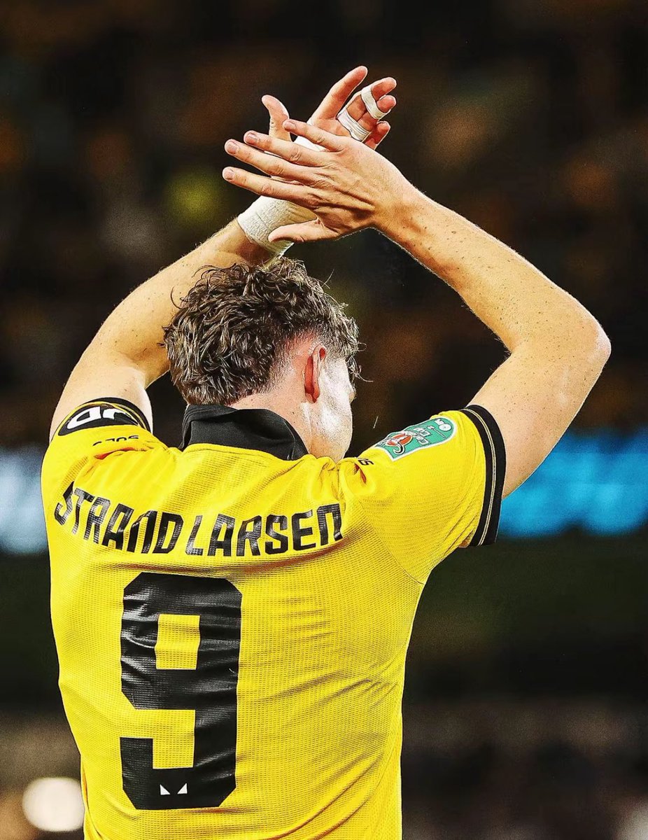 𝐓𝐇𝐄 𝐖𝐎𝐋𝐅𝐏𝐀𝐂𝐊™️ tweet media