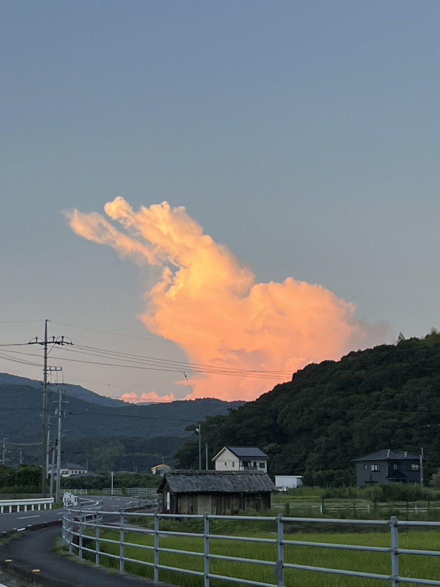 さて、何に見えますか？